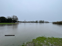 Flooding in Sebastopol
