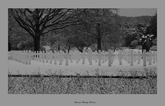 American Cemetery Lorraine - St-Avold (Moselle, Lorraine, France) - Photo of Cocheren