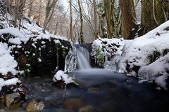 Ruisseau en hiver (II)