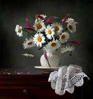 Still life with Daises