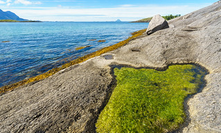 Green and blue - summer scenery by the coast