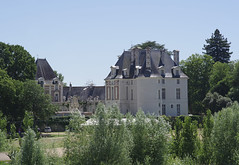 Selles-sur-Cher (Loir-et-Cher) - Photo of Pruniers-en-Sologne