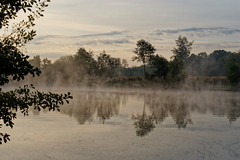 Morning mist - Photo of Diebolsheim