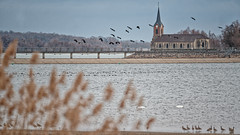 Paysages du Lac du Der en hiver - Photo of Frampas