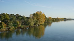 Fall colors on the Saône river - Photo of Crottet
