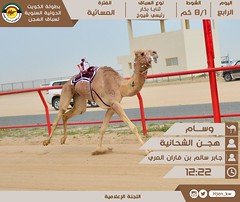 صور سباق الثنايا للشيوخ (بطولة الكويت الدولية لسباق الهجن) مساء 7-2-2023