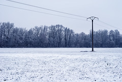 Cold lines - Photo of Illkirch-Graffenstaden