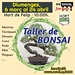 2022 taller bonsai 