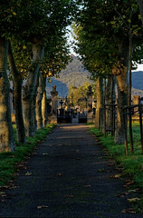 To the cemetary - Photo of Bourgheim
