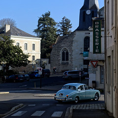 Jaguar à Doué-la-Fontaine