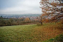 Rosheim under a grey sky - Photo of Heiligenstein