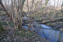 Ruisseau des Eaux Belles @ Étrembières - Photo of Lucinges
