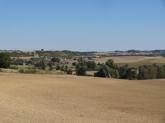 DSC06102 - Photo of Germigny-sur-Loire