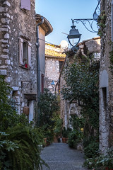 Leafy medieval alley in St Paul de Vence
