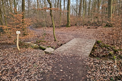 Bois de Crauthem - Photo of Basse-Rentgen