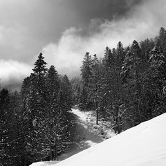 Chemin dans la neige - Photo of Milhas