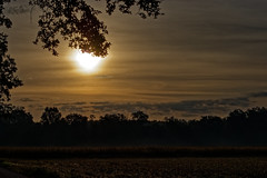 Sunrise - Photo of Diebolsheim