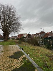 Gare de Comines - end of the line - Photo of Comines
