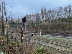 Abandoned and electrified tracks at Maubeuge - a Mons-Maubeuge train could run here - Photo of Dourlers