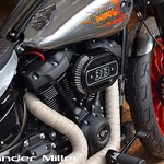 Harley-Davidson Donalds Dirt Tracker Walkaround (AM-00352)