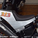 Harley-Davidson Donalds Dirt Tracker Walkaround (AM-00352)