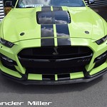 Ford Mustang Shelby GT500 Walkaround (AM-00360)
