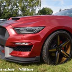 Ford Mustang Coyote Walkaround (AM-00362)