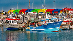 Colorful harbor - Photo of Marsilly