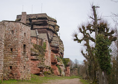 Le château du Haut-Barr - Photo of Kleingœft