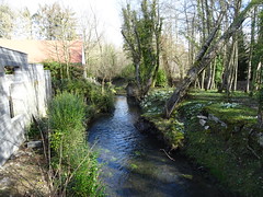 L-Aunelle un affluent en rive gauche de l-Hogneau, - Photo of Bermerain