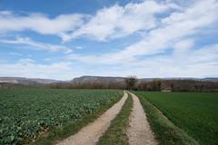 Creys-Mépieu - Photo of Serrières-de-Briord