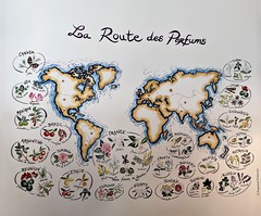 LA ROUTE DES PARFUMS - Photo of Saint-Cézaire-sur-Siagne