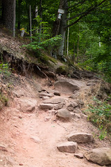 Path - Photo of Niedersteinbach
