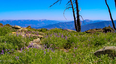 Hells Canyon & Heaven’s Gate Lookout, ID 7097307 