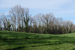 Bois de Penossay @ Seynod - Photo of Alby-sur-Chéran