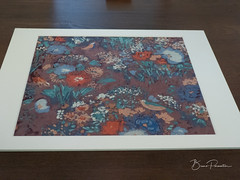 Design textile - Photo of Linselles