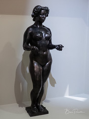 Aristide Maillol - Photo of Linselles