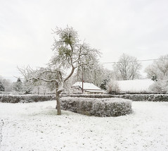 Snow - Photo of Grosley-sur-Risle