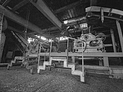 Extracteur du jus de canne - Photo of Goyave