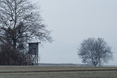 Winter in countryside - Photo of Illkirch-Graffenstaden