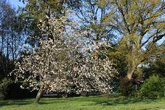 April in Vierzon - Photo of Vierzon