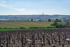 Monthou-sur-Cher (Loir-et-Cher). - Photo of Monthou-sur-Cher