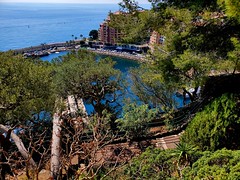 Harbor View - Rock of Monaco