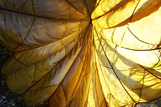 Yellow Parachute