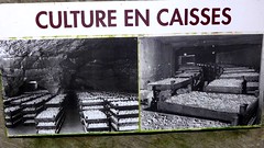 20201015_11h06DD66_La Cave aux Moines