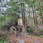 Greenwood Park trail