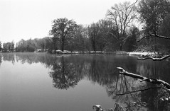Winter lake - Photo of Innenheim