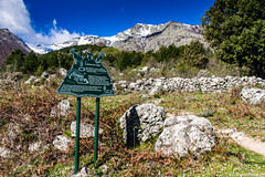 Plateau des Culletti - Photo of Focicchia