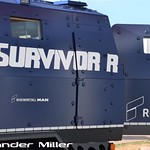 RMMV Survivor R Walkaround (AM-00645)