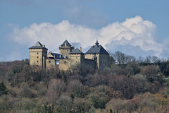 Château de Malbrouck